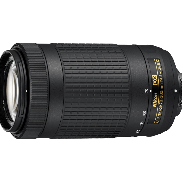 20061 AFP DX 70 300 ED front.png