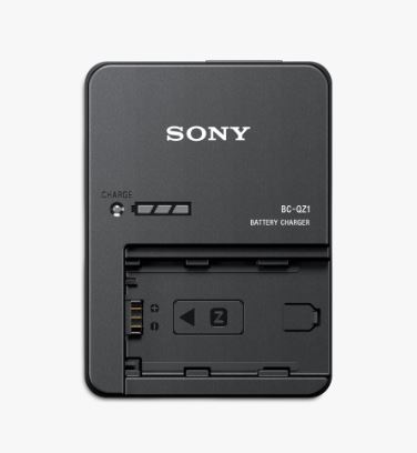 Sony FZ 100 Charger.jpg